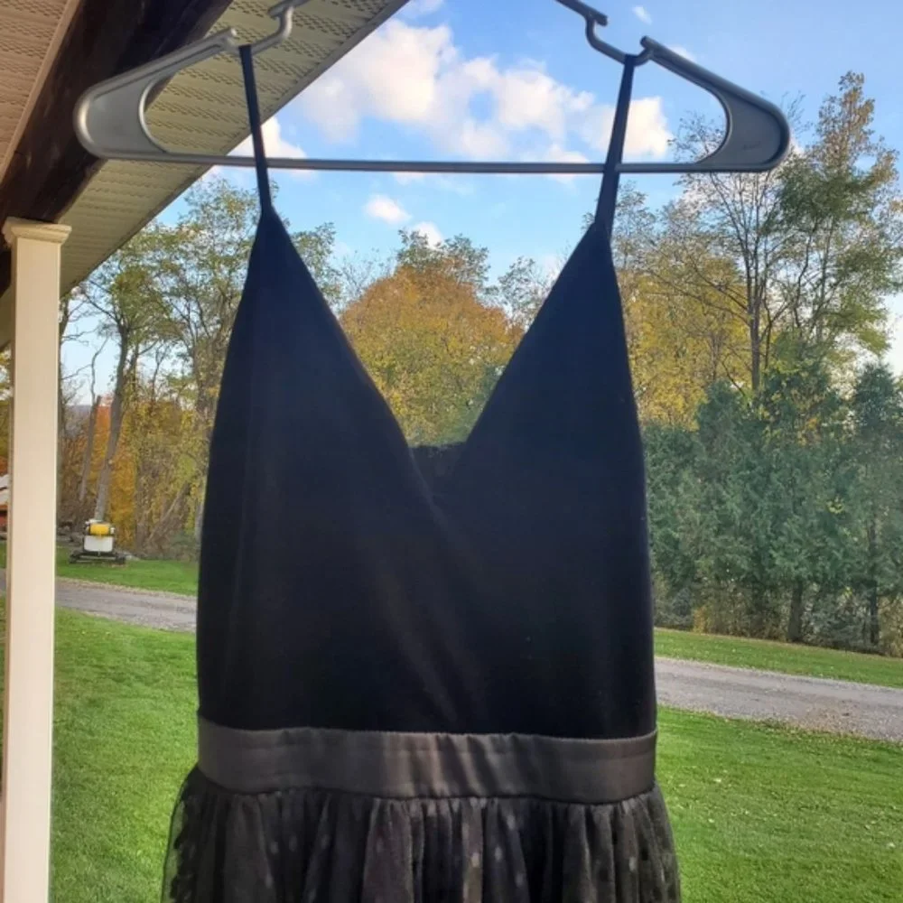 Express Velvet Bodice Polka Dot Tulle Midi Dress Black Party Formal Classic S - Picture 11 of 11